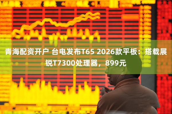 青海配资开户 台电发布T65 2026款平板：搭载展锐T7300处理器，899元